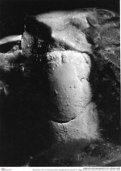Historisches Foto von Ammopylocheles mclaughlinae (Van Bakel et al., 2008) (NHMW-AFW-GEO-BACHMAYER-FOTO-1990-0041-5058)